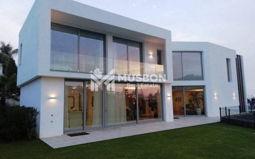 Luxurious new house on sale