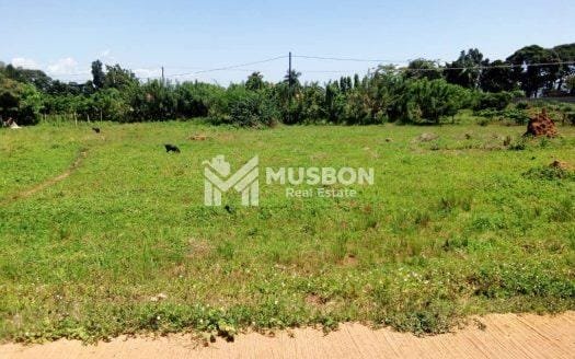 70 DECIMALS PLOT OF LAND TOUCHING TARMAC ROAD ON SALE IN GARUGA ENTEBBE ROAD