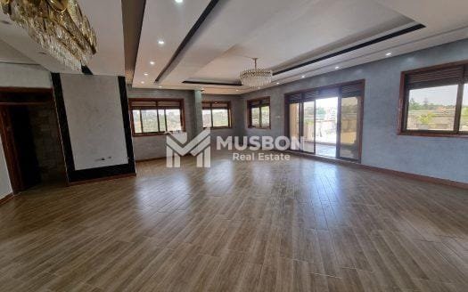 Executive penthouse for sale in Naguru