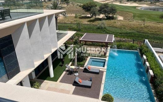 Luxury villa in Dubai for sale-International listings