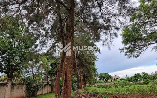 3 acres for sale in Munyonyo