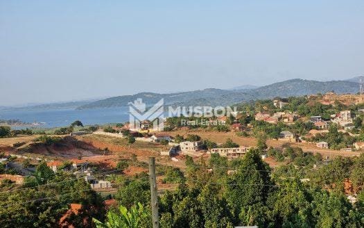 Hill top plot for sale In Kigo_65 decimals
