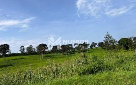 400 acres for sale in Bujuko