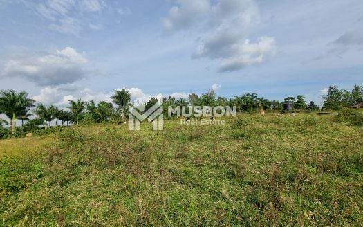 200 acres along Mityana road for sale