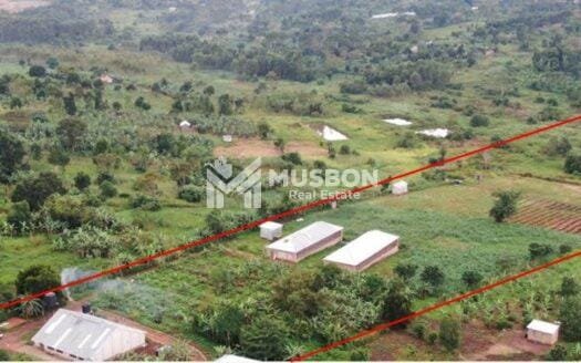 13 acre mixed poultry farm for sale