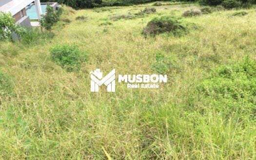 50 decimal plot for sale in Lubowa
