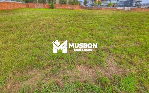 50 decimal plot for sale in Muyenga