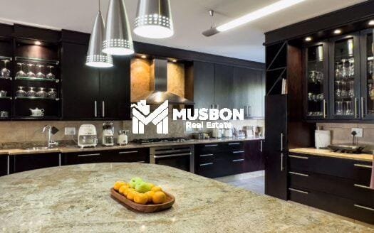 Mansion for rent in Munyonyo