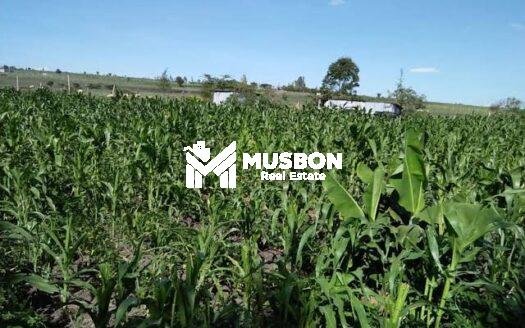 4 acres for sale in mukono